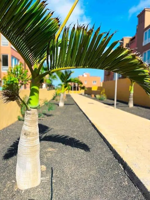 Apartamento Casa Bamboo Corralejo, Espacioso, Piscina Y Parking 0*, Corralejo